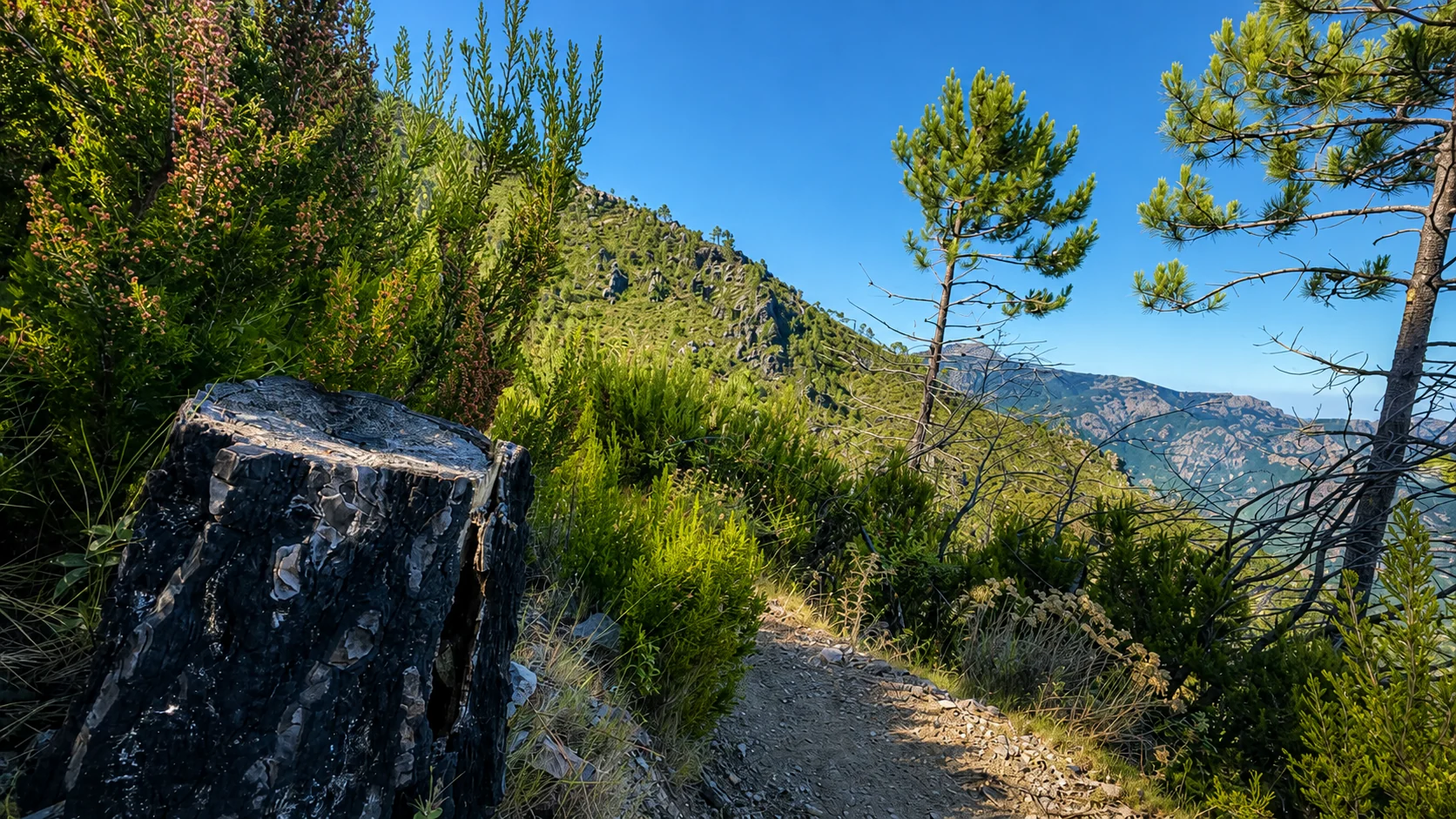 Maquis et sentier sec du nord
